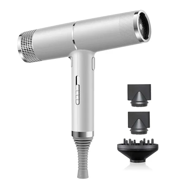 Professional Ionic Blow Hair Dryer