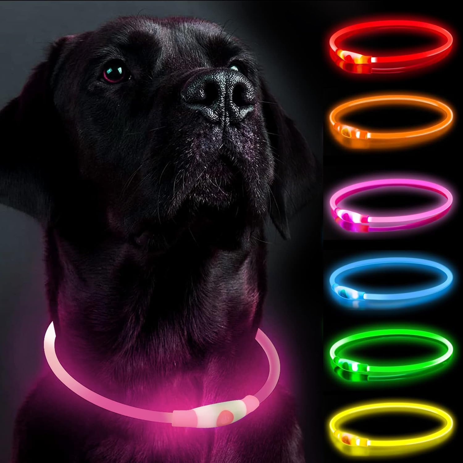 LED-hundhalsband, hundhalsband, uppladdningsbar glänsande nattpromenad