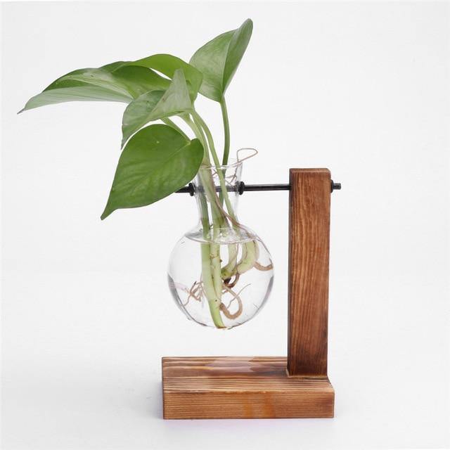 Vase de propagation en verre avec support vertical en bois