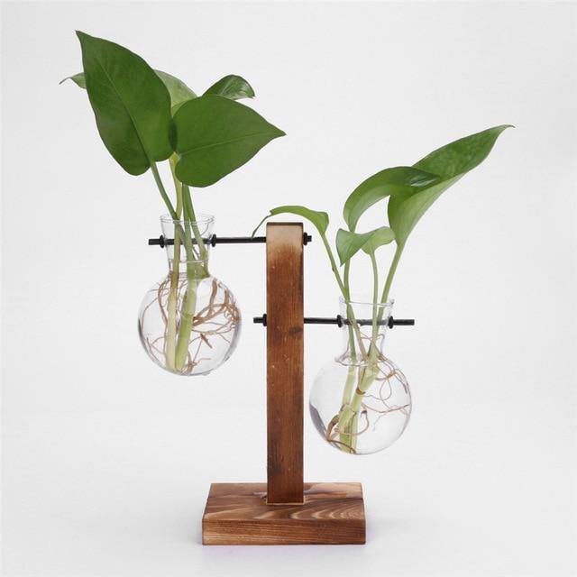 Vase de propagation en verre avec support vertical en bois