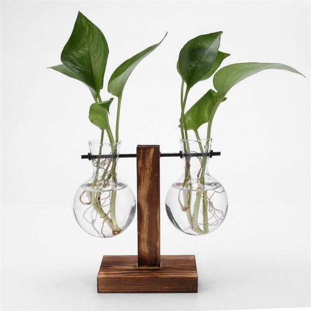 Vase de propagation en verre avec support vertical en bois