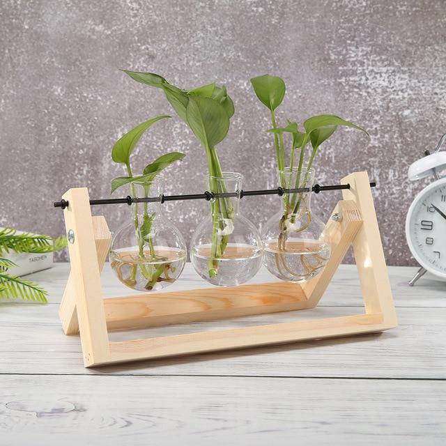 Vase de propagation en verre avec support en bois à cadre en A