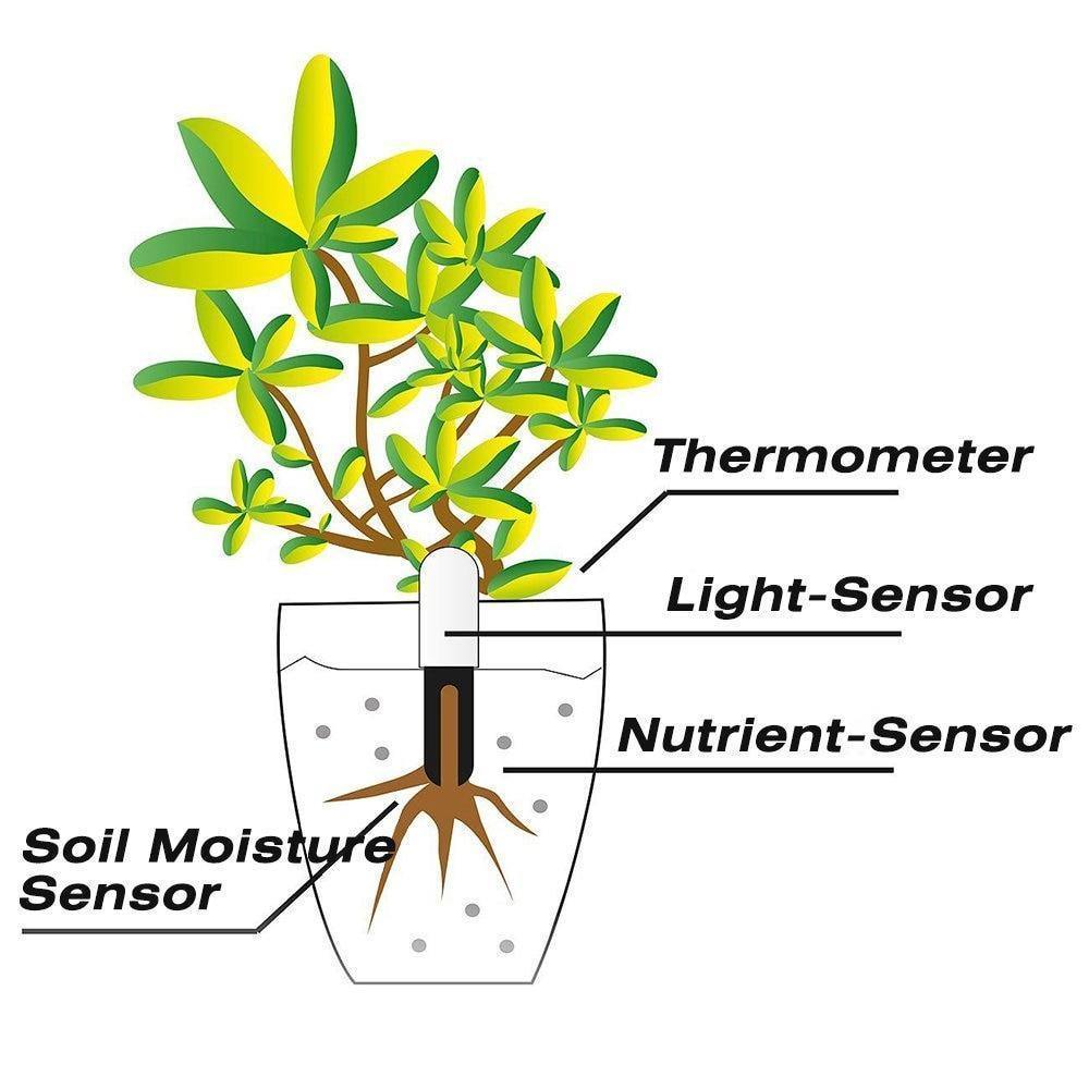 Medidor de agua y sensor de salud inteligente para plantas