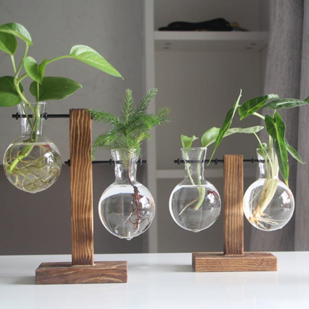 Vase de propagation en verre avec support vertical en bois