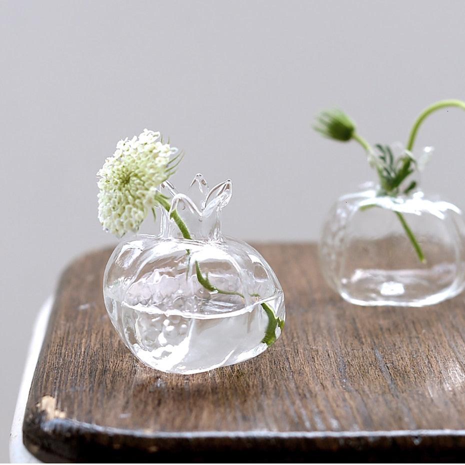 Florero de propagación hidropónica de vidrio de granada