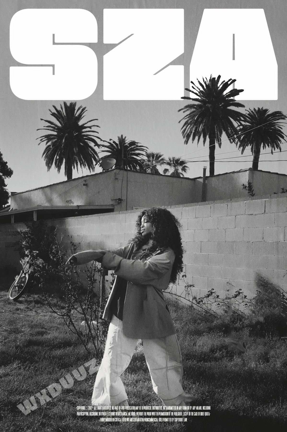 R&B ROYALTY: SZA | FALMŰVÉSZET