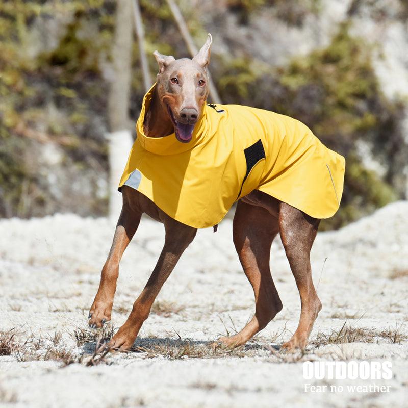 AeroSport Waterproof Raincoat for Dogs and Cats