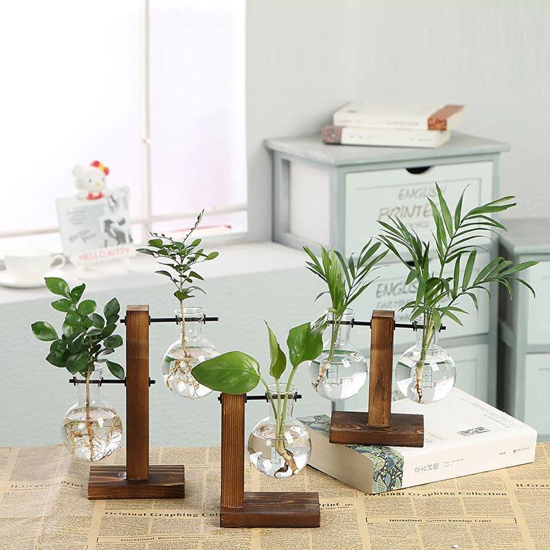 Vase de propagation en verre avec support vertical en bois