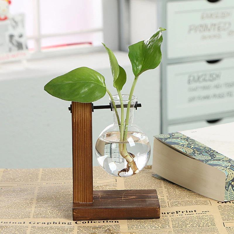 Vase de propagation en verre avec support vertical en bois