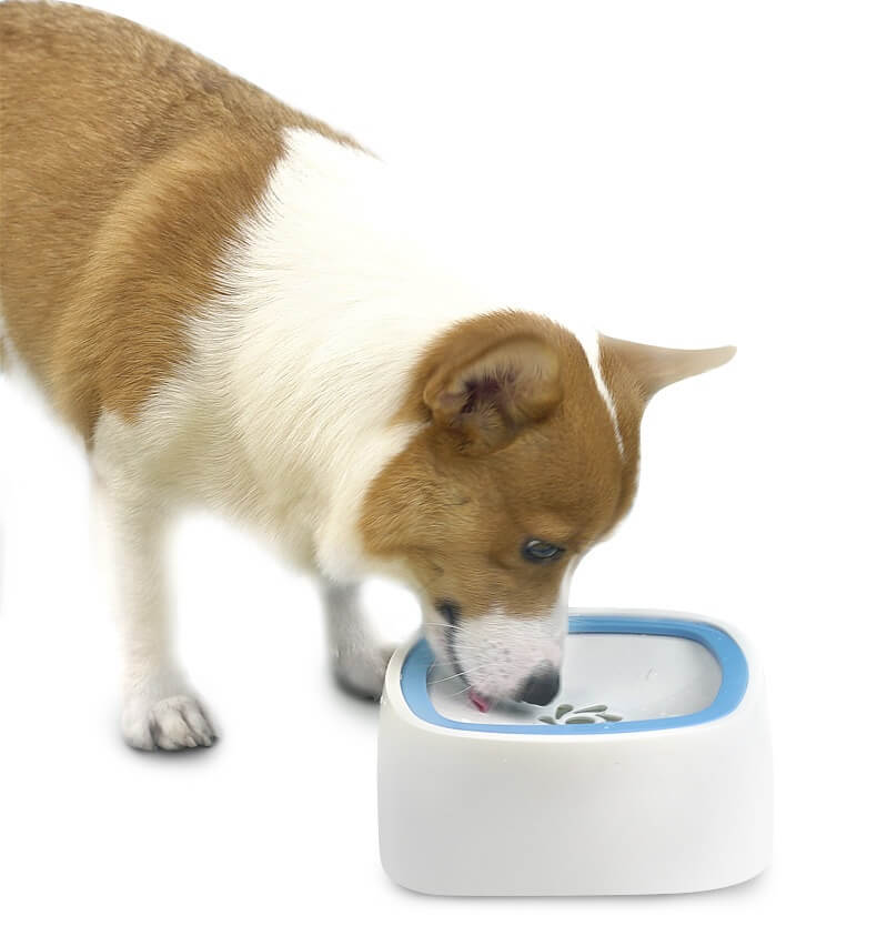 My Furry Friend™ - Hygienic Water Dispenser