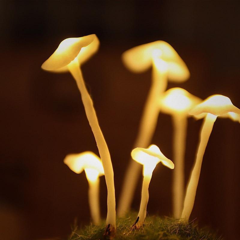 Kit de bricolage pour lampe champignon enchantée