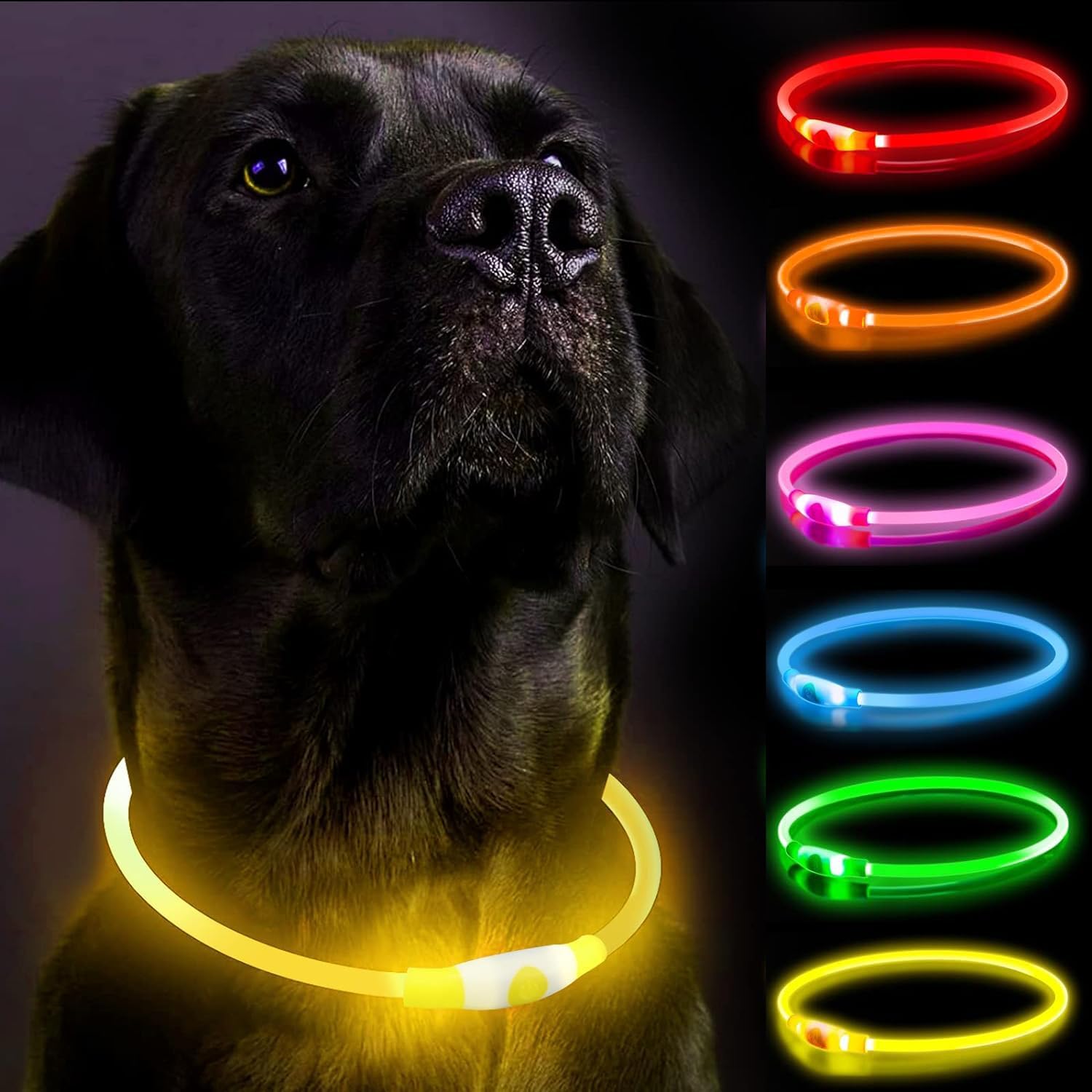 LED-hundhalsband, hundhalsband, uppladdningsbar glänsande nattpromenad